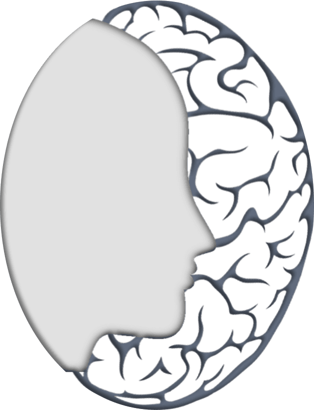 Brain outline illustration